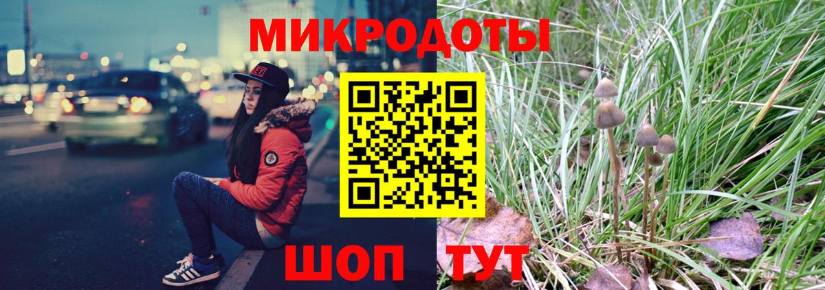 Псилоцибиновые грибы Cubensis  Вход с VPN  Костомукша 